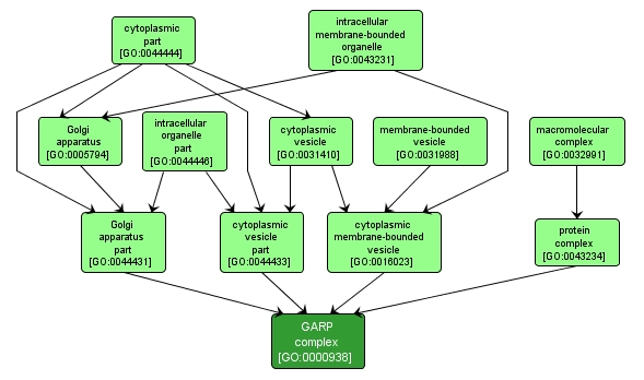 GO:0000938 - GARP complex (interactive image map)