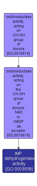 GO:0003938 - IMP dehydrogenase activity (interactive image map)