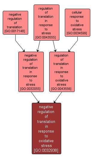 GO:0032938 - negative regulation of translation in response to oxidative stress (interactive image map)
