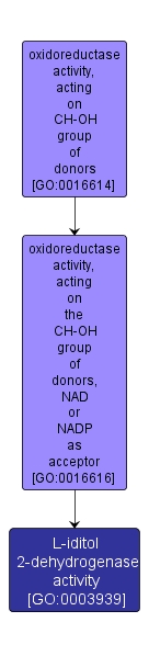 GO:0003939 - L-iditol 2-dehydrogenase activity (interactive image map)
