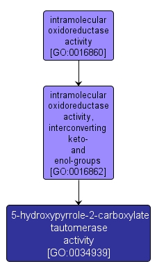 GO:0034939 - 5-hydroxypyrrole-2-carboxylate tautomerase activity (interactive image map)