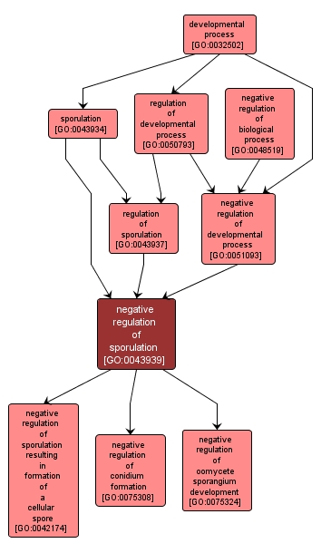 GO:0043939 - negative regulation of sporulation (interactive image map)