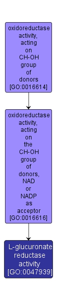 GO:0047939 - L-glucuronate reductase activity (interactive image map)