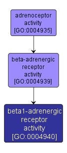 GO:0004940 - beta1-adrenergic receptor activity (interactive image map)