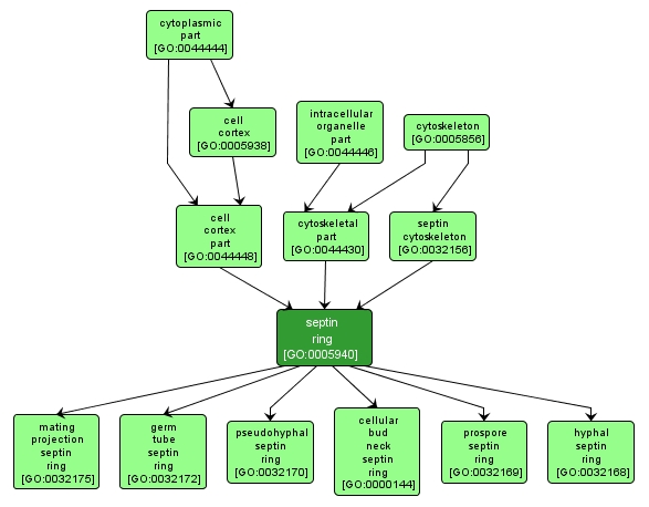 GO:0005940 - septin ring (interactive image map)