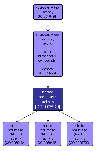 GO:0008940 - nitrate reductase activity (interactive image map)