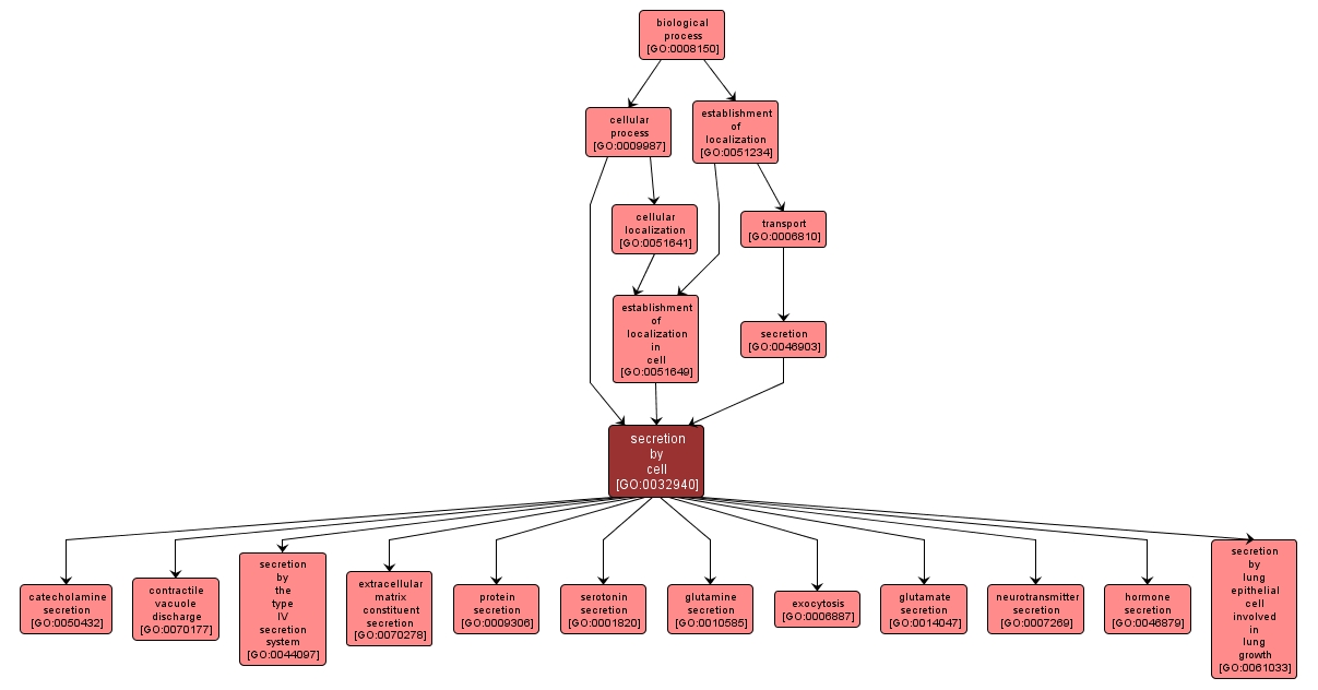 GO:0032940 - secretion by cell (interactive image map)