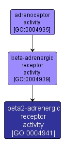 GO:0004941 - beta2-adrenergic receptor activity (interactive image map)
