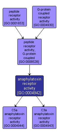 GO:0004942 - anaphylatoxin receptor activity (interactive image map)