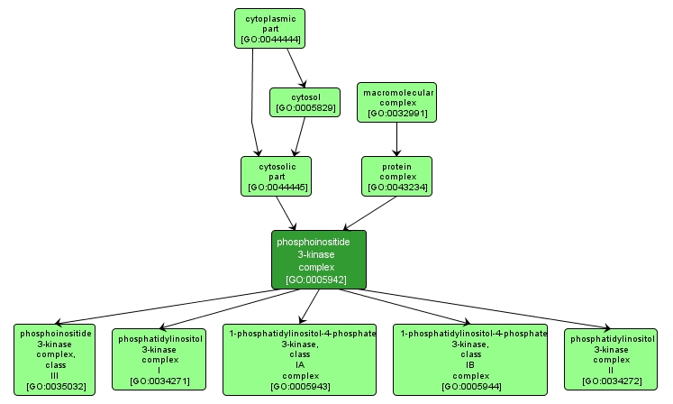 GO:0005942 - phosphoinositide 3-kinase complex (interactive image map)