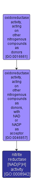 GO:0008942 - nitrite reductase [NAD(P)H] activity (interactive image map)