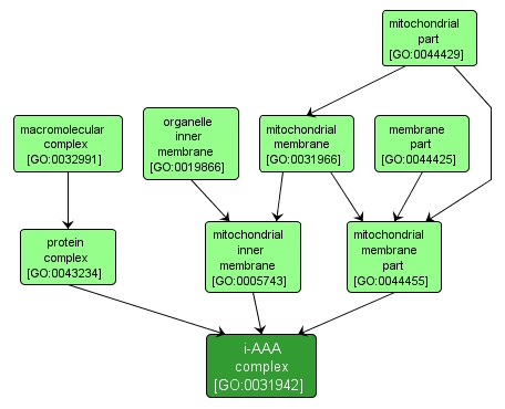 GO:0031942 - i-AAA complex (interactive image map)