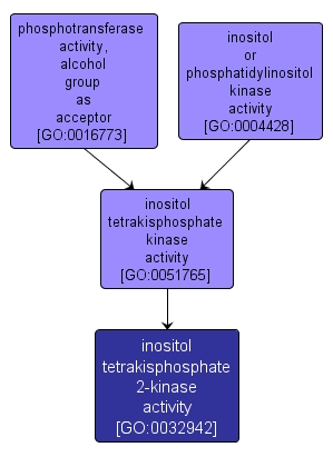 GO:0032942 - inositol tetrakisphosphate 2-kinase activity (interactive image map)