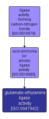 GO:0047942 - glutamate-ethylamine ligase activity (interactive image map)