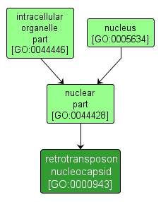 GO:0000943 - retrotransposon nucleocapsid (interactive image map)