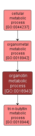GO:0018943 - organotin metabolic process (interactive image map)