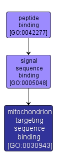 GO:0030943 - mitochondrion targeting sequence binding (interactive image map)