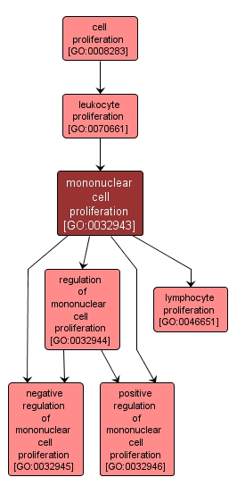 GO:0032943 - mononuclear cell proliferation (interactive image map)