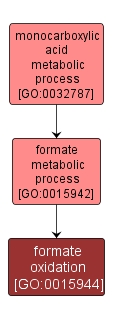 GO:0015944 - formate oxidation (interactive image map)