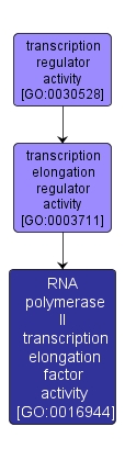 GO:0016944 - RNA polymerase II transcription elongation factor activity (interactive image map)