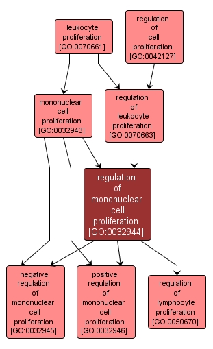 GO:0032944 - regulation of mononuclear cell proliferation (interactive image map)