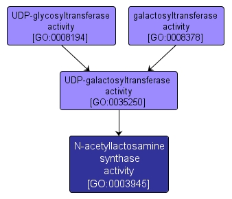 GO:0003945 - N-acetyllactosamine synthase activity (interactive image map)