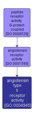 GO:0004945 - angiotensin type II receptor activity (interactive image map)