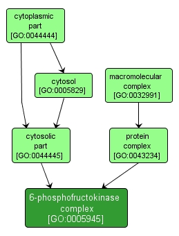 GO:0005945 - 6-phosphofructokinase complex (interactive image map)