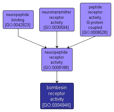 GO:0004946 - bombesin receptor activity (interactive image map)