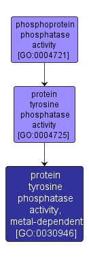 GO:0030946 - protein tyrosine phosphatase activity, metal-dependent (interactive image map)