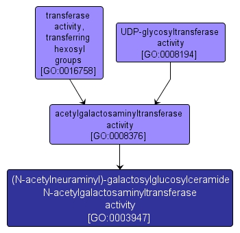 GO:0003947 - (N-acetylneuraminyl)-galactosylglucosylceramide N-acetylgalactosaminyltransferase activity (interactive image map)