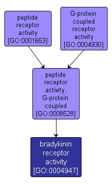 GO:0004947 - bradykinin receptor activity (interactive image map)