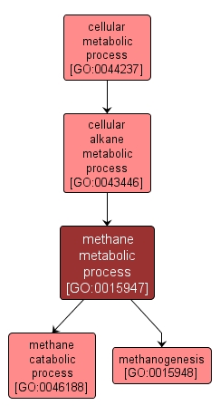 GO:0015947 - methane metabolic process (interactive image map)
