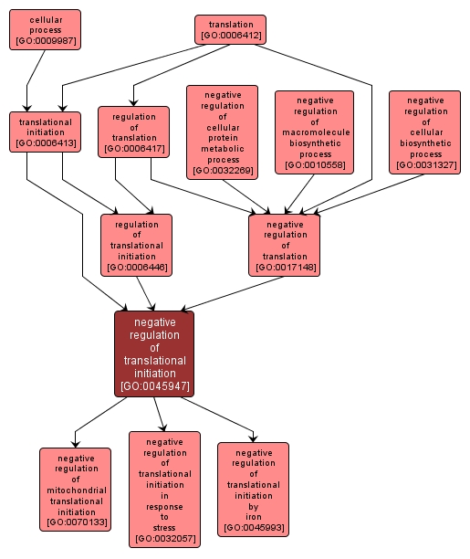 GO:0045947 - negative regulation of translational initiation (interactive image map)