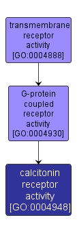 GO:0004948 - calcitonin receptor activity (interactive image map)