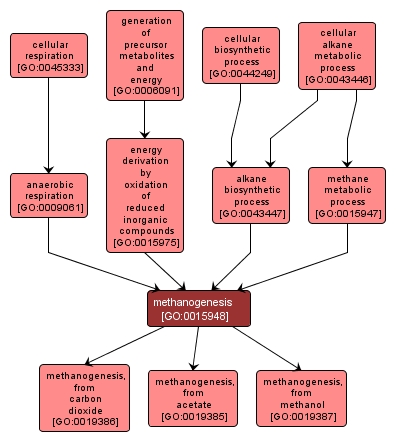 GO:0015948 - methanogenesis (interactive image map)