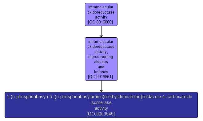 GO:0003949 - 1-(5-phosphoribosyl)-5-[(5-phosphoribosylamino)methylideneamino]imidazole-4-carboxamide isomerase activity (interactive image map)