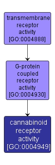 GO:0004949 - cannabinoid receptor activity (interactive image map)