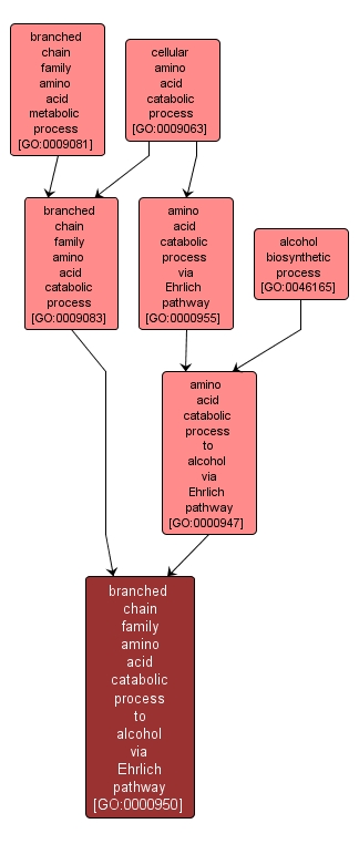 GO:0000950 - branched chain family amino acid catabolic process to alcohol via Ehrlich pathway (interactive image map)