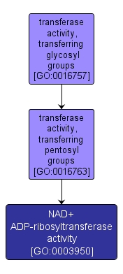 GO:0003950 - NAD+ ADP-ribosyltransferase activity (interactive image map)