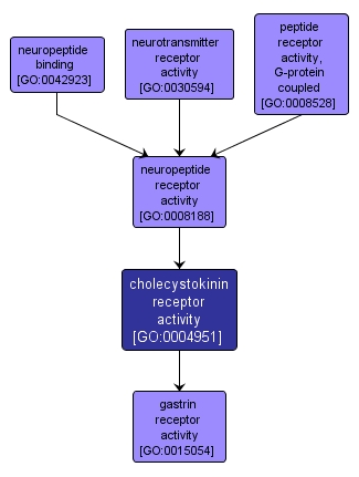 GO:0004951 - cholecystokinin receptor activity (interactive image map)