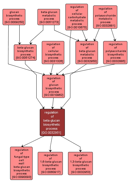 GO:0032951 - regulation of beta-glucan biosynthetic process (interactive image map)