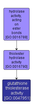 GO:0047951 - glutathione thiolesterase activity (interactive image map)