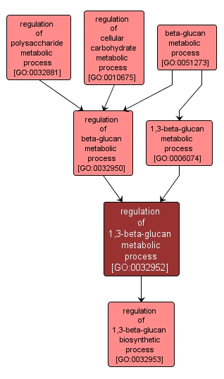 GO:0032952 - regulation of 1,3-beta-glucan metabolic process (interactive image map)