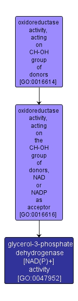 GO:0047952 - glycerol-3-phosphate dehydrogenase [NAD(P)+] activity (interactive image map)