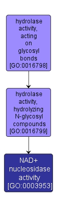GO:0003953 - NAD+ nucleosidase activity (interactive image map)