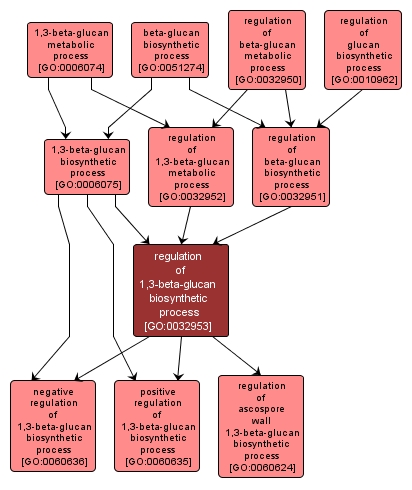 GO:0032953 - regulation of 1,3-beta-glucan biosynthetic process (interactive image map)