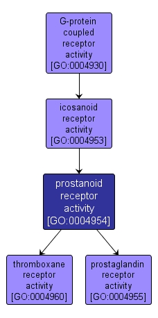 GO:0004954 - prostanoid receptor activity (interactive image map)