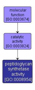 GO:0008954 - peptidoglycan synthetase activity (interactive image map)