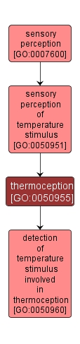 GO:0050955 - thermoception (interactive image map)